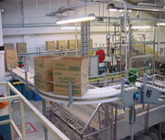 carton conveyer