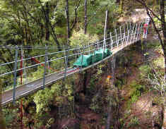 Lyell bridge